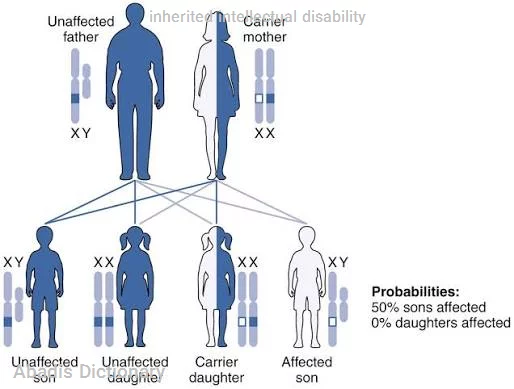 inherited intellectual disability